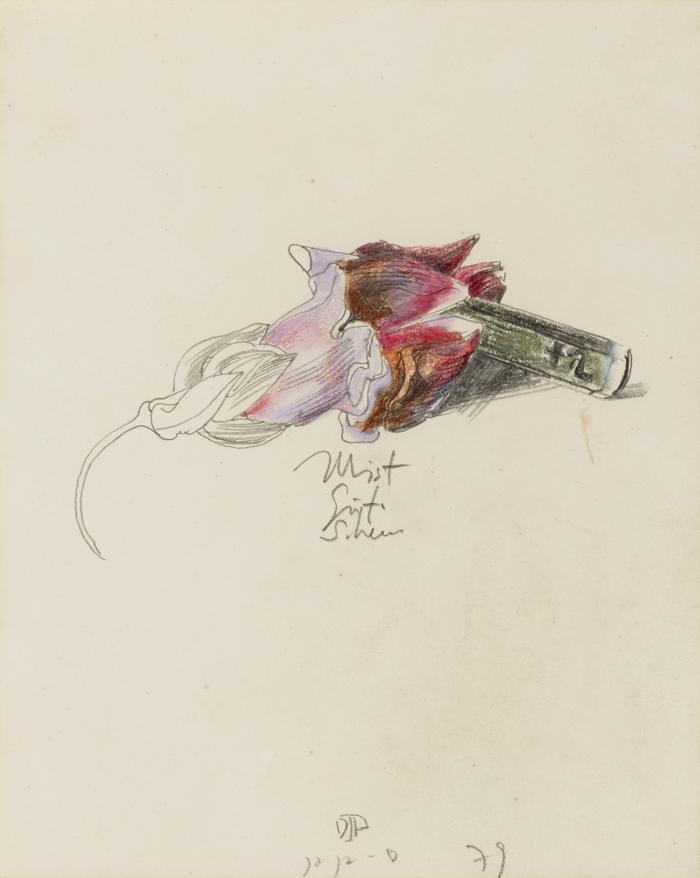BLUME UND BUNTSTIFT (