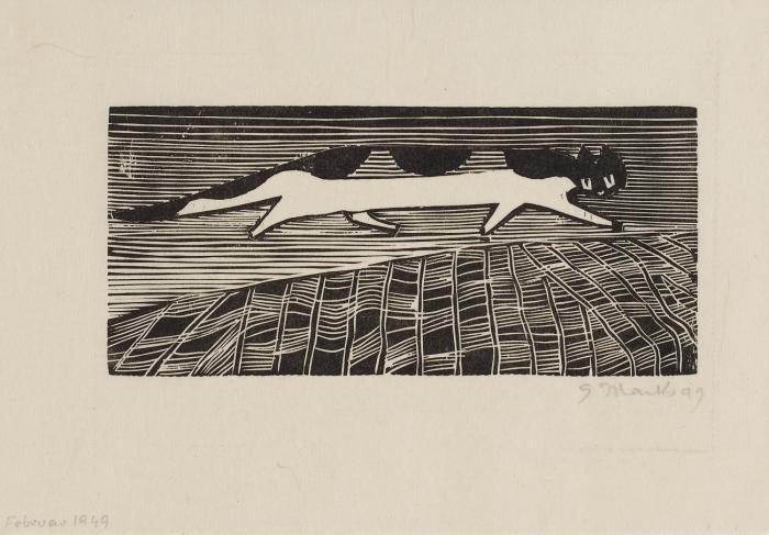 LAUFENDE KATZE 1949 / STIERKAMPF III 1949/50