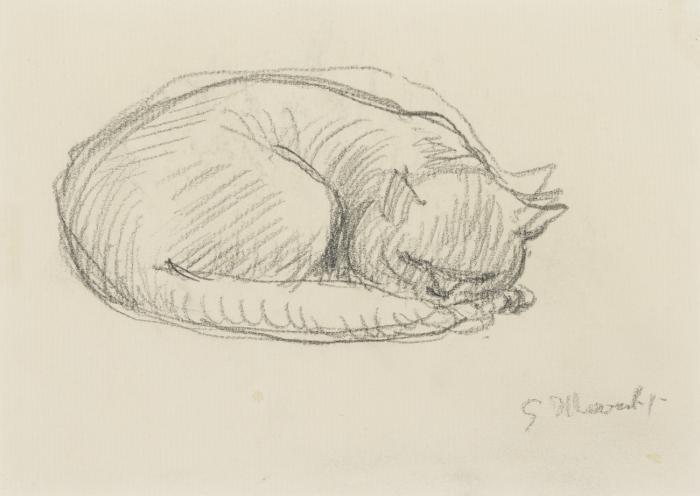 KATZE