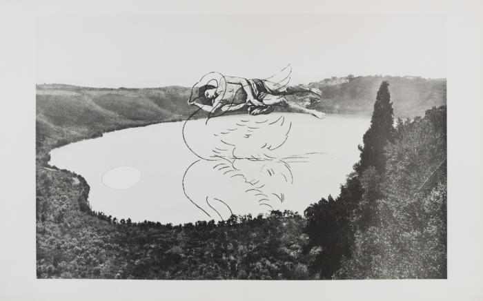 L'EXIL DU CYGNE
