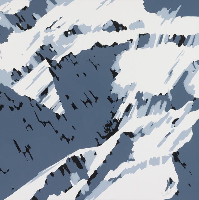 SCHWEIZER ALPEN B2
