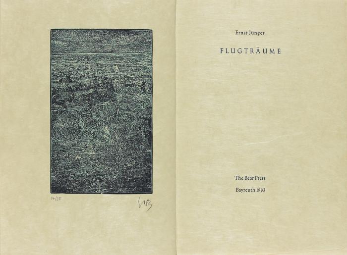 Flugträume.