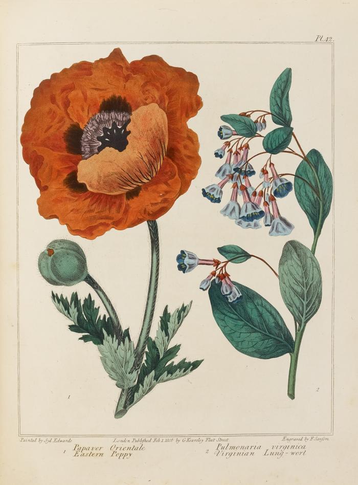 The new Flora Britannica. 2 Bde. in 1.