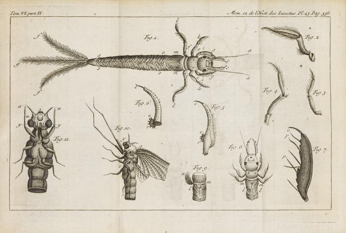 Mémoires pour servir à l'histoire des insectes. 6 in 12 Bdn.