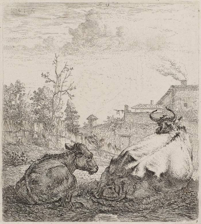 Kuh und das Kalb.