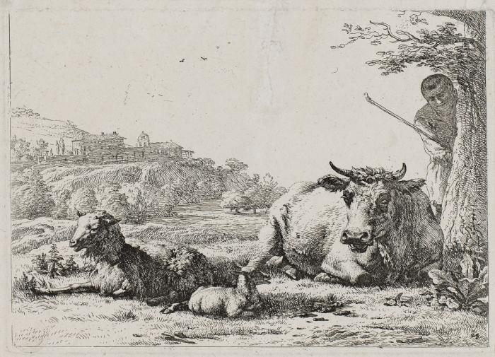 Der Hirte hinter dem Baum. 1656 / Die zwei Ochsen. 1655 / Der Ochse und Esel / Zwei Ziegen und drei Schafe. 1655 / Kuh, Bulle und Kalb.