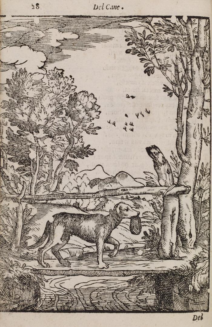 Cento fauole bellissime de' piú illustri antichi, e moderni autori greci, e latini: scielte da M. Gio. Mario Verdizotti : nelle quali oltre l'ornamento di belle, e varie figure, si contengono molti precetti pertinenti alla prouidenza della vita virtuosa, e ciuile.