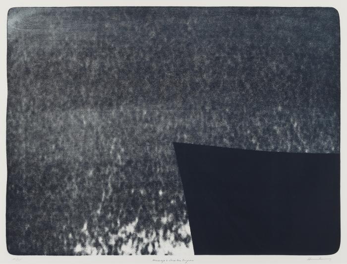 HOMMAGE À EVA BERGMAN