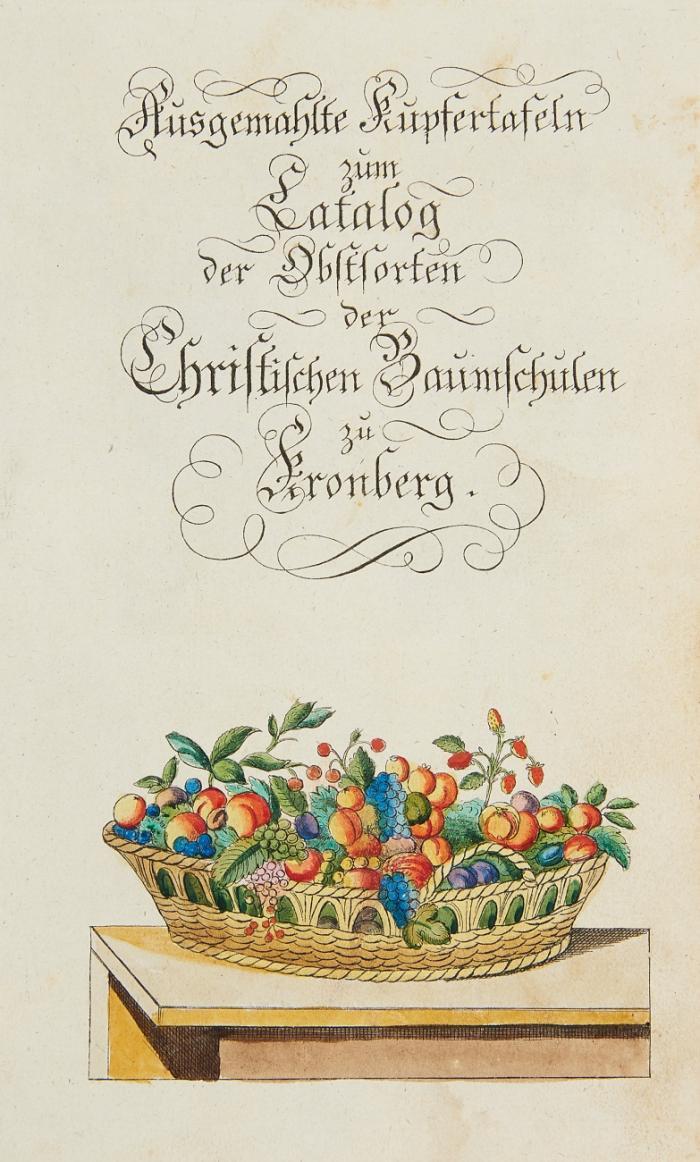 Der Baumgärtner auf dem Dorfe oder Anleitung wie der gemeine Landmann auf die wohlfeilste und leichteste Art die nützlichen Obstbäume zu Besetzung seiner Gärten erziehen .... und deren Früchte ... benutzen soll. 3. verm. und verb. Aufl. + Ausgemahlte Kupfertafeln zum Catalog der Obstsorten der christlichen Baumschulen zu Kronberg. Mit gest. Titel mit kolor. Vign. und 26 (25 kolor.) Kupfertafeln. HLn. mit Rt.