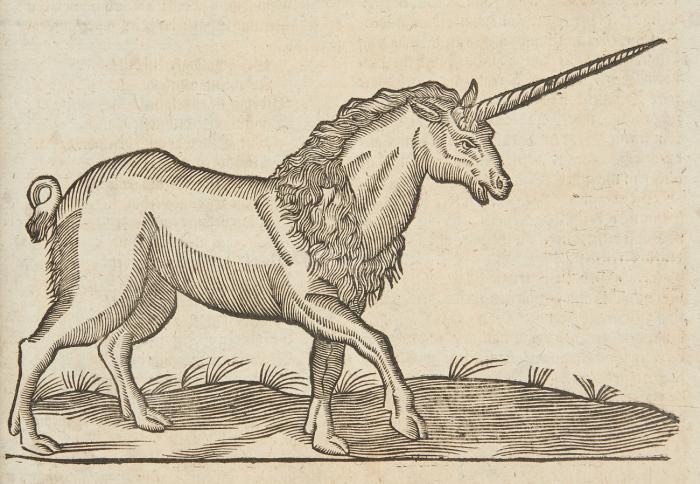 Gesnerus redivivus, auctus et emendatus, oder Allgemeines Thier-Buch, das ist ... Abbildung aller vierfüssigen, sowol zahmer, als wilder Thiere ... in lateinischer Sprache geschrieben und ... durch ... C. Forerum ins Teutsche übersetzt ... von neuem übersehen ... und erweitert durch G. Horstium/ Vollkommenes Vogel-Buch ... sammt einer umständlichen Beschreibung ...2 Tle. in 1 / Vollkommenes Fisch-Buch. Tl. 1. Bde. I-IV (von 6) in 1 Bd.