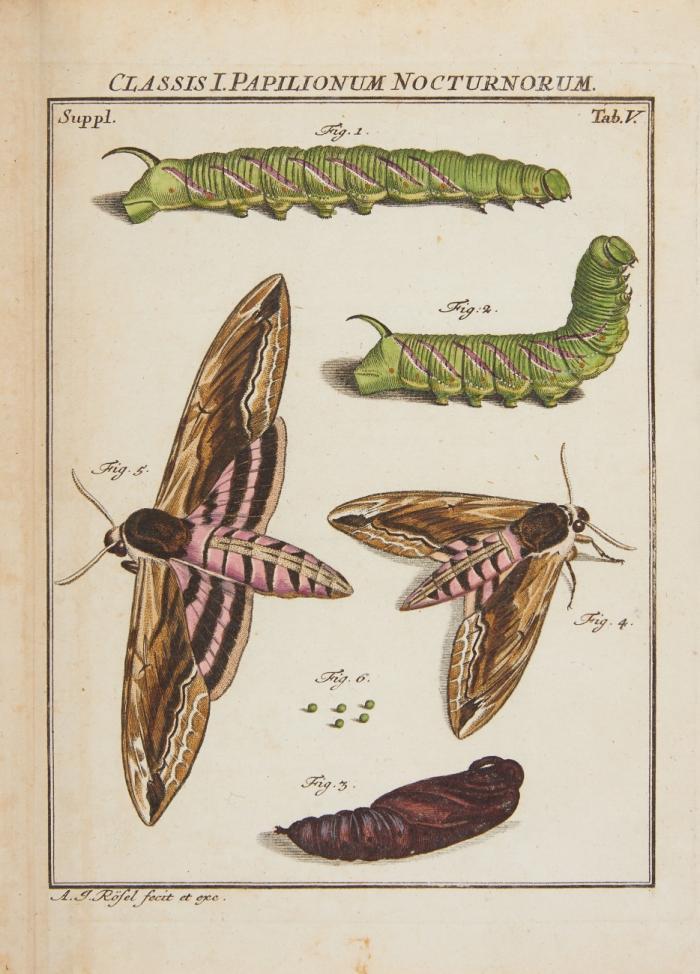 Der monatlich-herausgegebenen Insecten-Belustigung Erster (- vierter) Theil. Mit Nachtragsband von Kleemann, Ch. F. C.: Beyträge zur Natur- oder Insecten-Geschichte erster Teil (v. 2). Insgesamt 5 Bde.