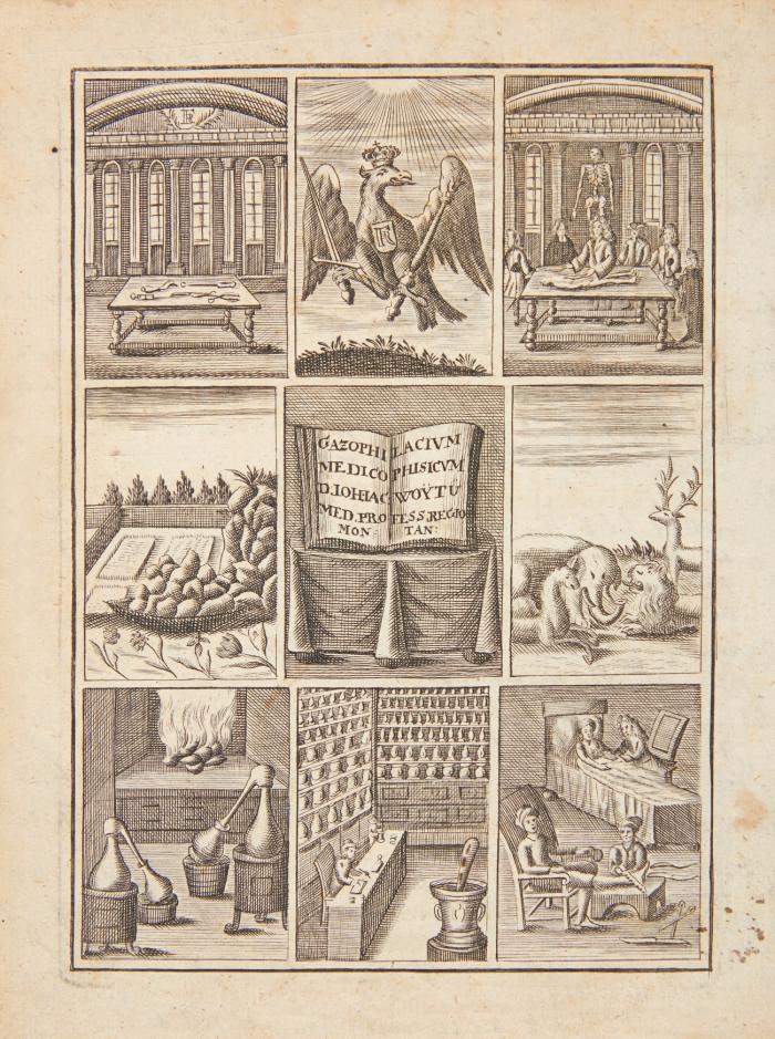 Gazophylacium medico-physicum, oder Schatz-Kammer medicinisch- und natürlicher Dinge, in welcher alle medicinische Kunst-Wörter, inn- und äusserliche Kranckheiten nebst dererselben Genesmitteln ... vorgestellet, und mit einem nöthigen Register versehen worden. Die Achte Auflage. Aufs neue mit Fleiß übersehen, verbessert und vermehret.