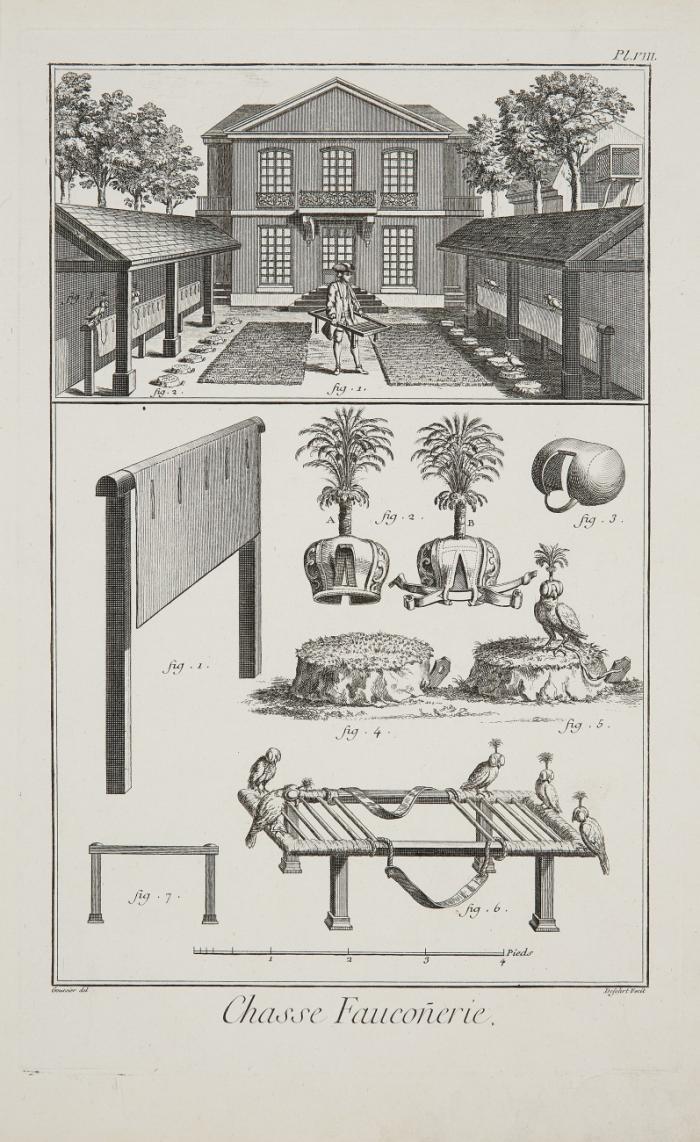 FALKNEREI zur Zeit des Kurfürsten Clemens August von Köln

Chasse Fauconnerie / armure des oiseaux / nourriture des oiseaux, verschiedene Szenen der Falkenhaltung und Ausrüstung sowie Abbildungen der Gerätschaften.