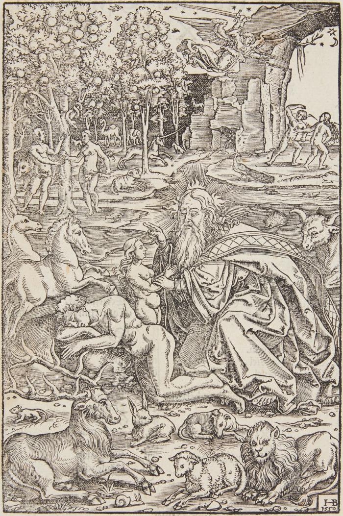 Die Erschaffung der Eva. 1550.
