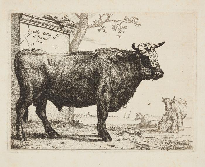 NIEDERLÄNDISCHE GRAPHIK
Sammlung von 13 Blatt Kupferstichen und Radierungen des 17.Jhs., teils aus Folgen. Plattengröße von Ø 8,3 cm bis ca. 15,5 x 30 cm.