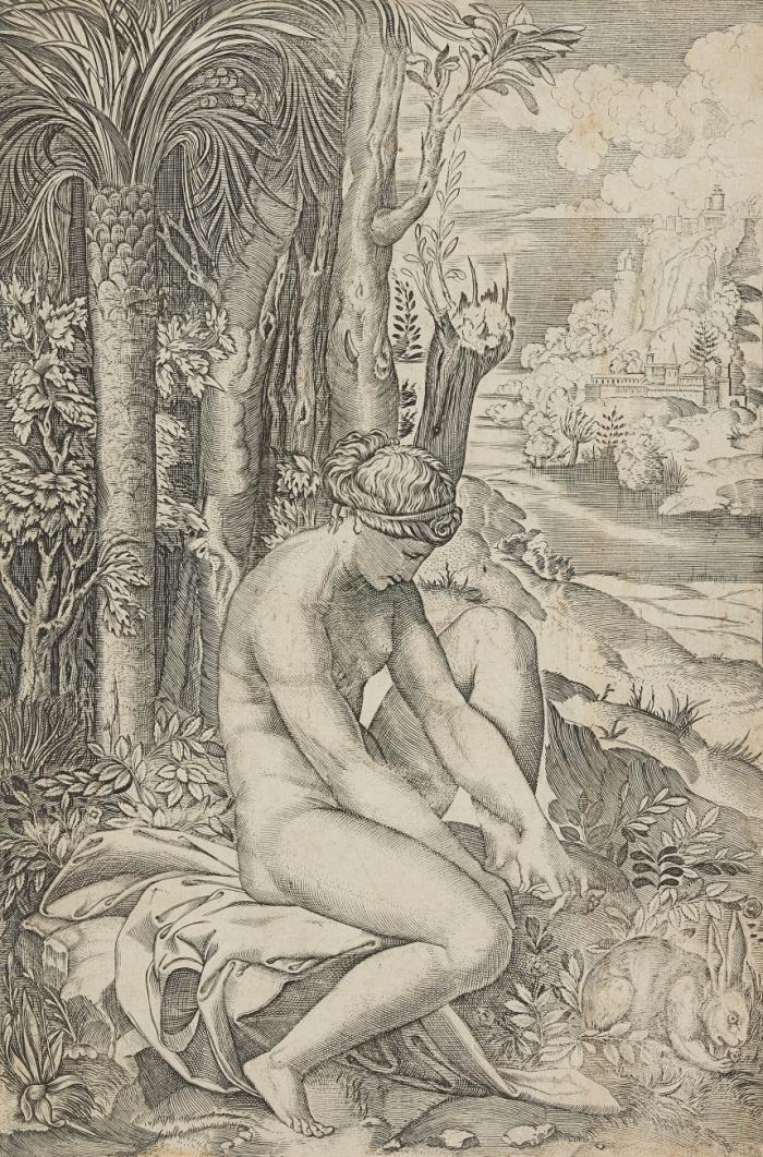 Venus von einem Rosendorn verletzt.