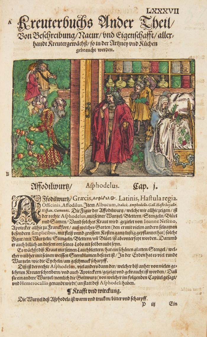 [Kreuterbuch, Kunstliche Conterfeytunge, der Bäume, Stauden, Hecken, Kreuter, Getreyde, Gewürtze ... zum sechsten mal von neuwem ersehen ...]
