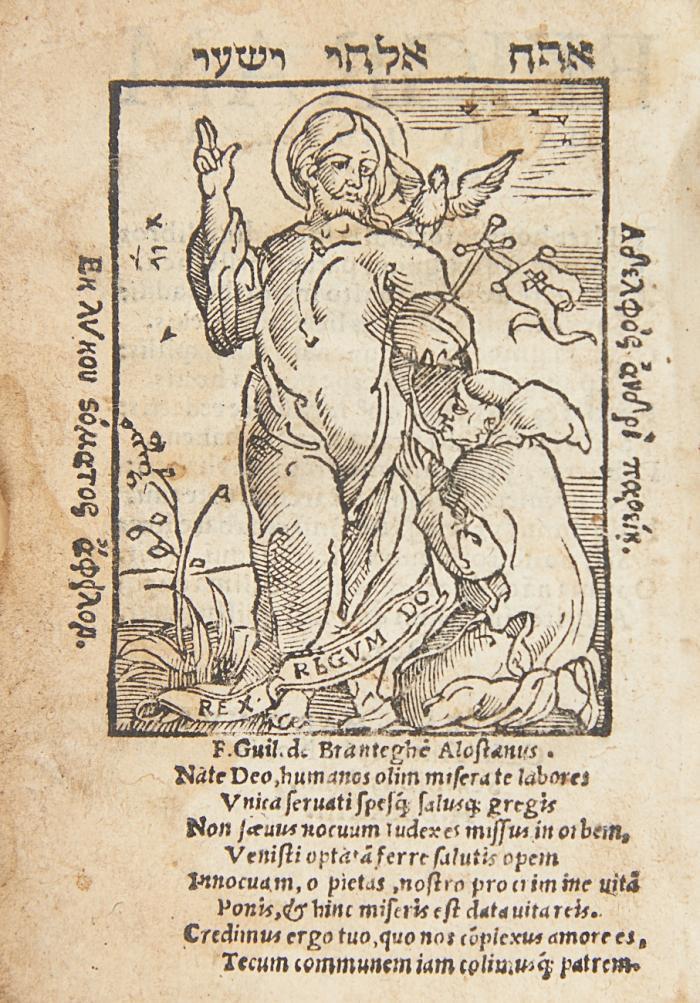 Viola animae, recens castigata, nec non nouis super veteres annotatiu[n]culis, margini adiectis locupletata ...