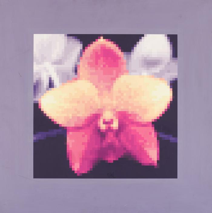 ORCHIDÉE DIGITALISÉE (NO. ORC 237)