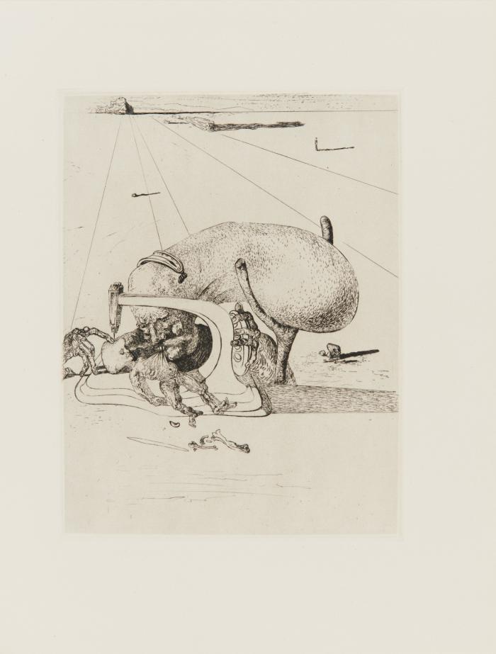 Les Chants de Maldoror. Eaux-fortes originales de Salvador Dali.