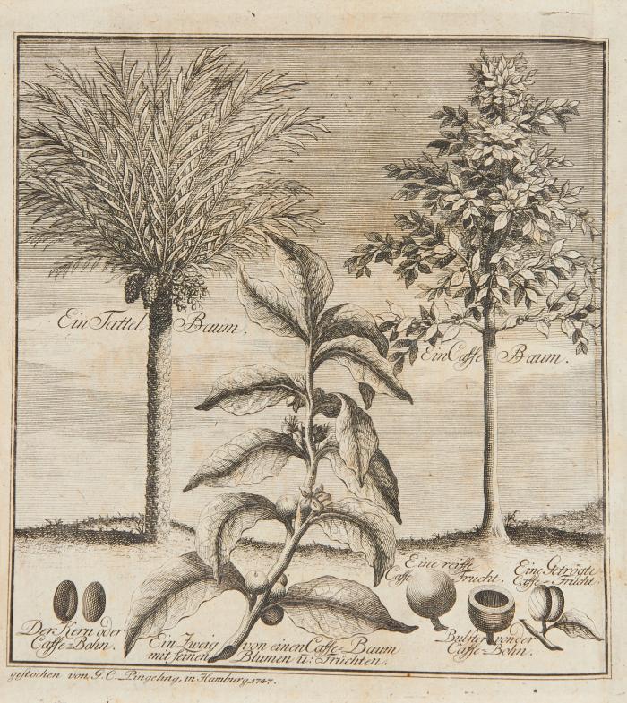 Die heutige Historie oder der gegenwärtige Staat von Arabien und der Grosen Tartarey, samt denen daran grenzenden Ländern. Nach dem Englischen und Holländischen [übers.] von [Matthias] van Goch.