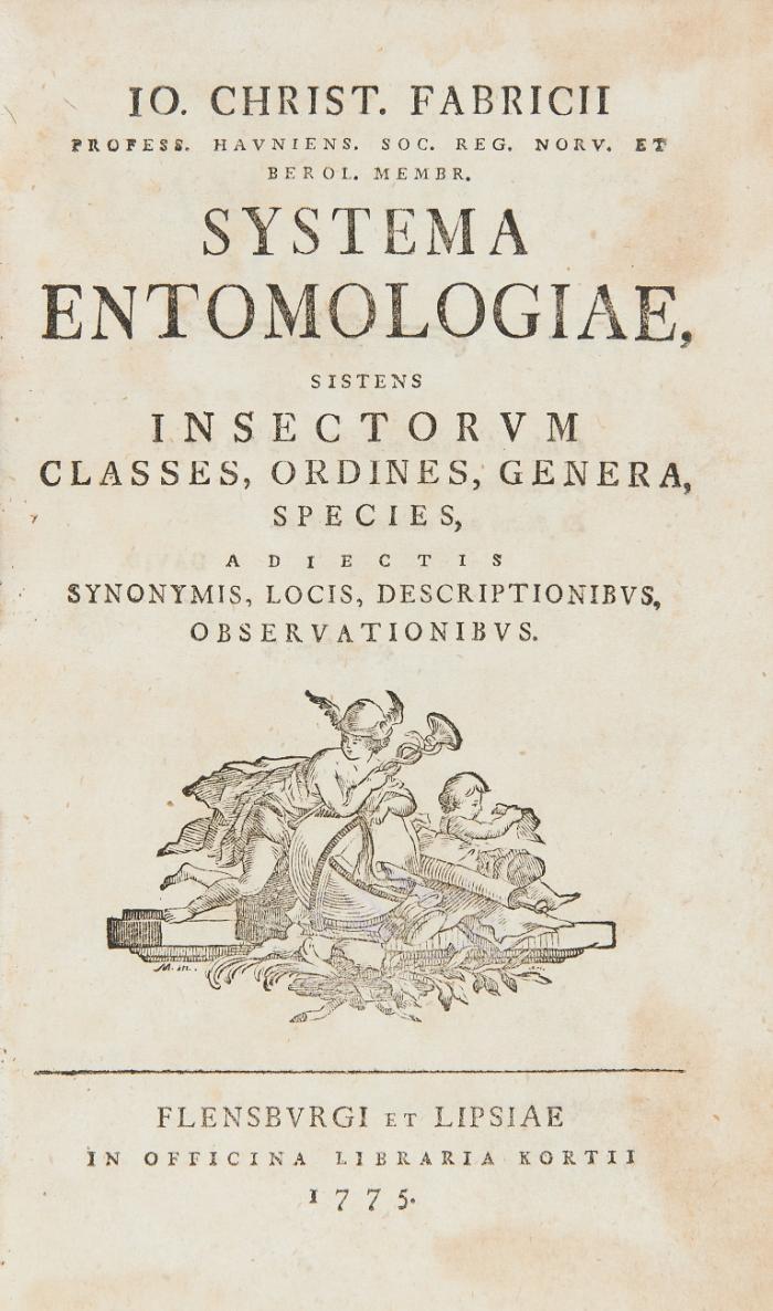 Systema Entomologiae, sistens insectorum classes, ordines, genera, species, adiectis synonymis, locis, descriptionibus, observationibus.