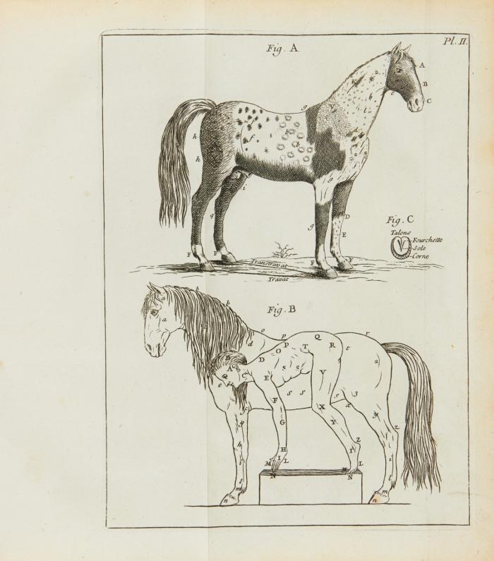 Le nouveau parfait Maréchal, ou la connoissance générale et universelle du cheval. 4. Ausg.