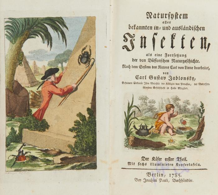 Natursystem aller bekannten in- und ausländischen Insekten, als eine Fortsetzung der Büffonschen Naturgeschichte. Bde. I-IX (von 10). Nur Text.
