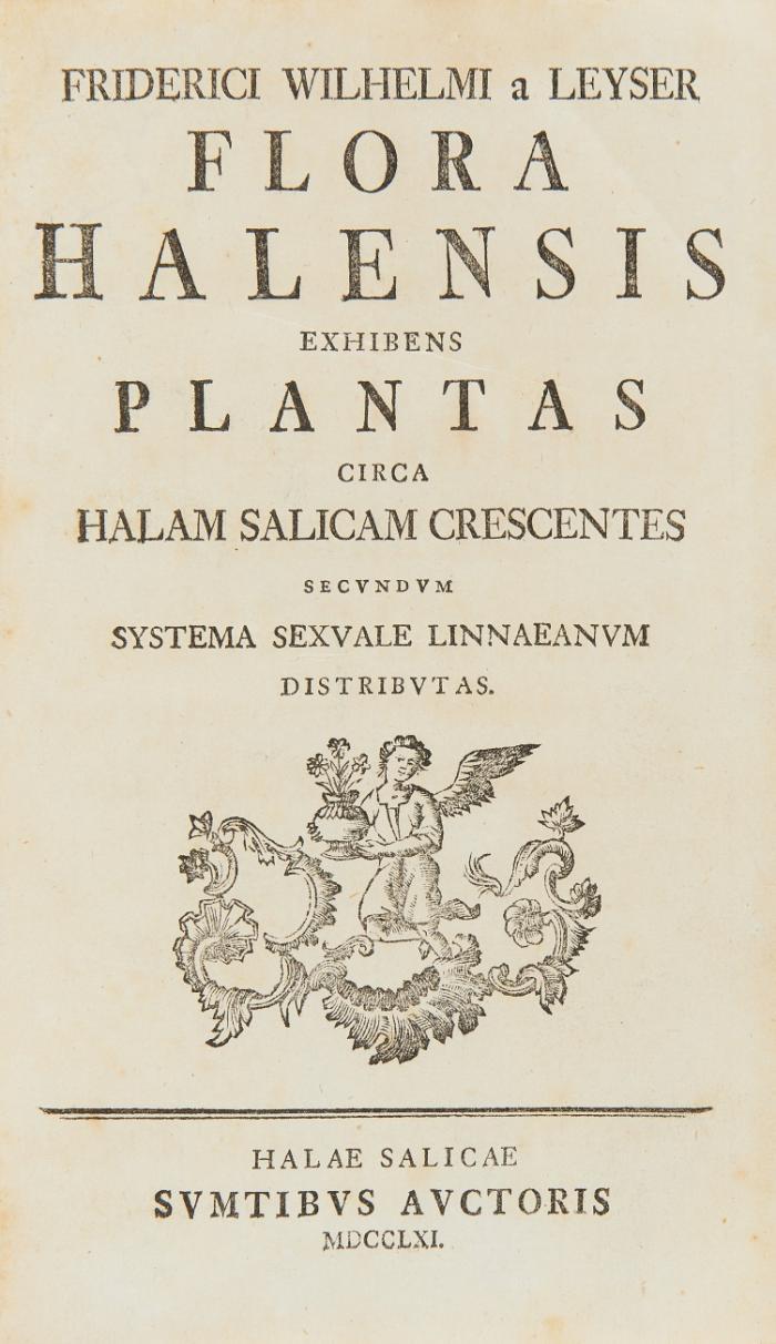 Flora Halensis exhibens plantas circa Halam Salicam crescentes secundum systema sexuale Linnaeanum distributas.
