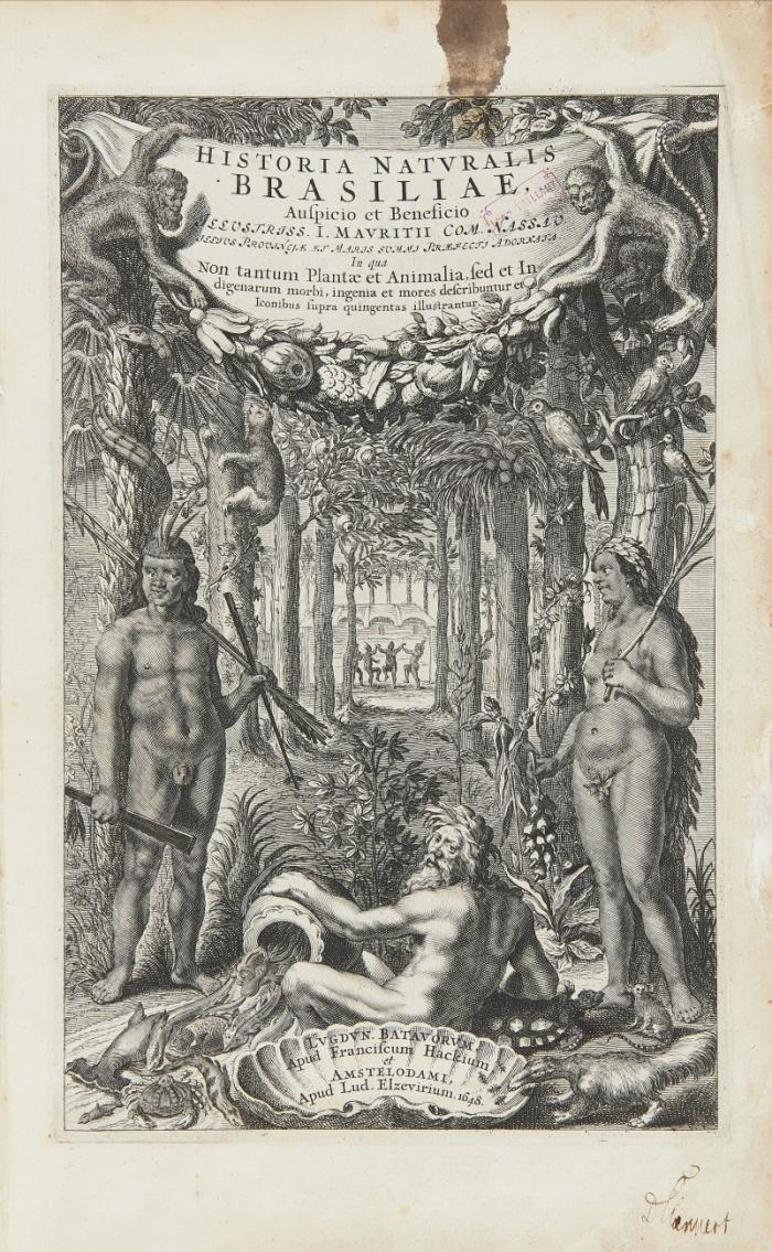 Historia naturalis Brasiliae, auspicio et beneficio Illustriss. I. Mauritii Com. Nassau. illius provinciæ et maris summi præfecti adornata: in qua non tantum plantæ et animalia, sed et indigenarum morbi, ingenia et mores describuntur et iconibus supra quingentas illustrantur. 2 Tle. in 1 Bd.