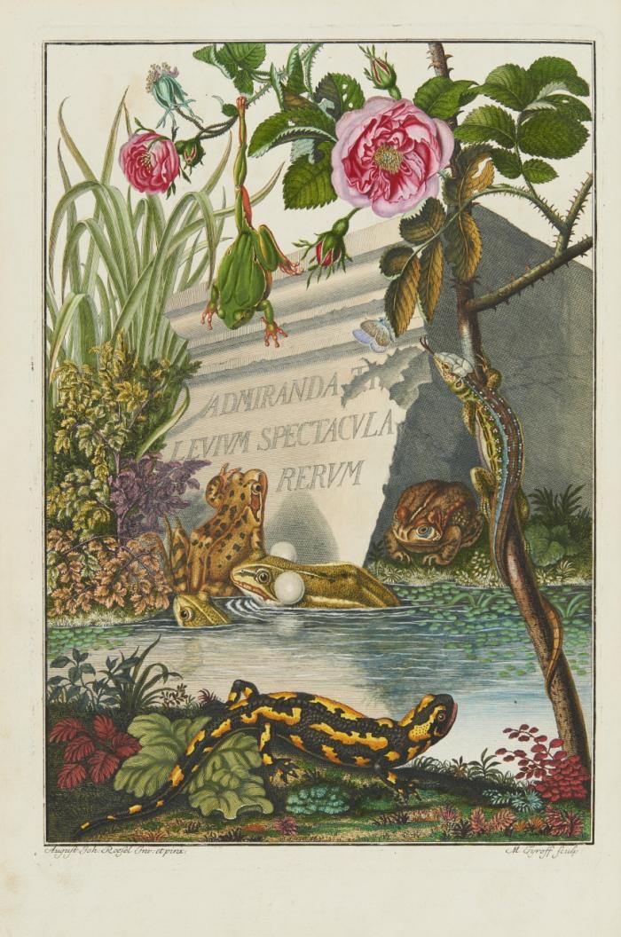 Historia naturalis ranarum nostratium in qua omnes earum proprietates, praesertim quae ad generationem ipsarum pertinent, fusius enarrantur ... Die natürliche Historie der Frösche des hiesigen Landes ... mit einer Vorrede Herrn Albrechts von Haller.