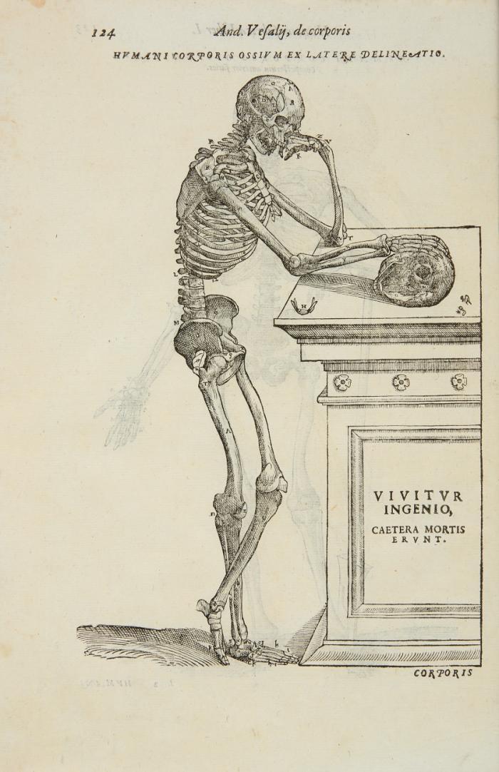 Anatomia: Addita nunc postremo etiam antiquorum anatome.