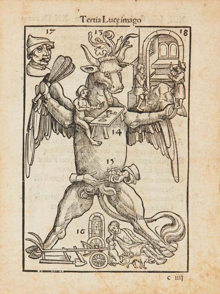 Rationarium euangelistarum omnia in se euangelia prosa, uersu, imaginibusq(ue) quã mirifice cðplectens.