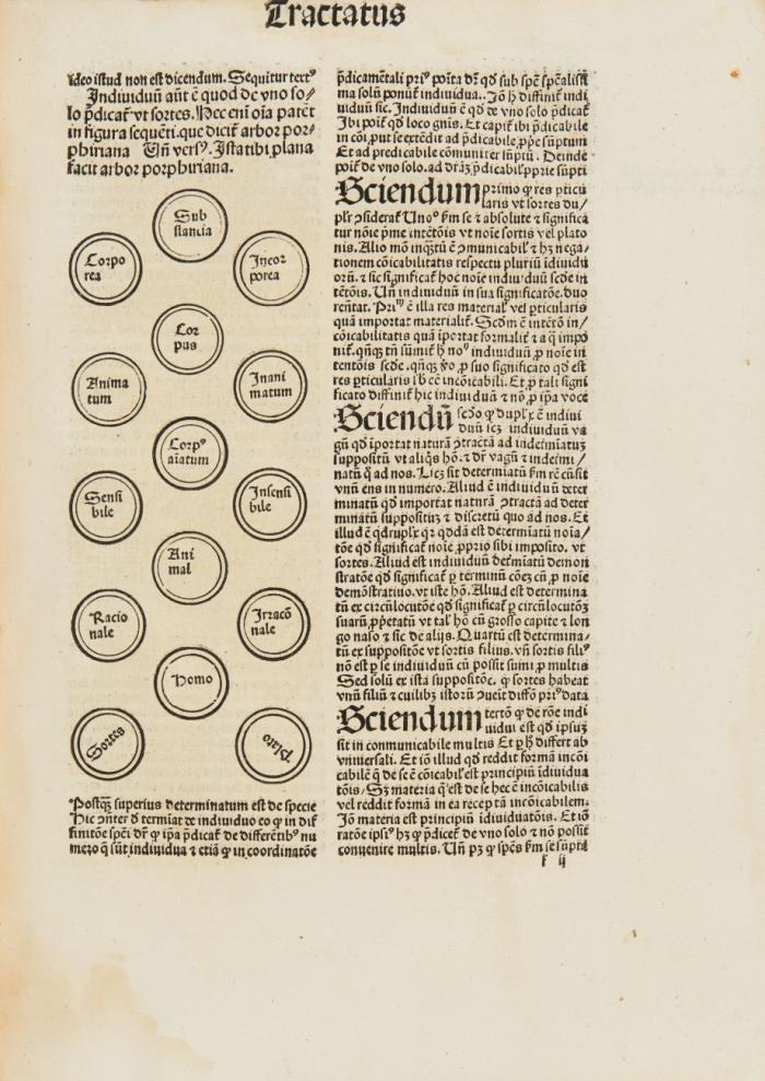 Dicta super septem tractatus summularum Petri Hispani cum textu.