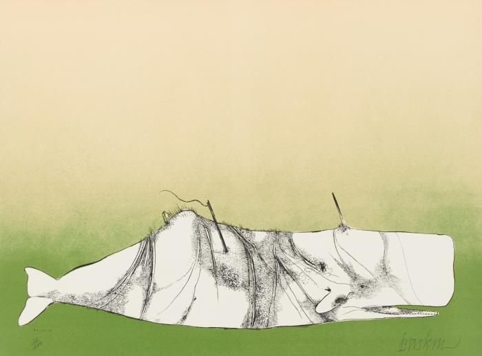 MOBY DICK