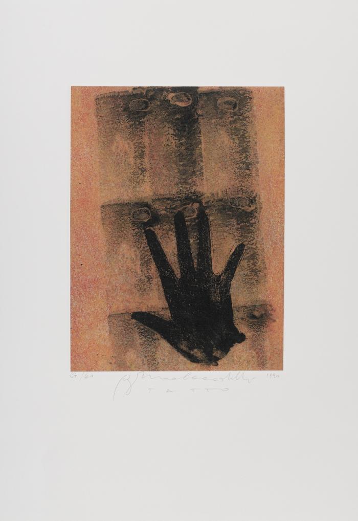 VISTA / UDITO / TATTO / OLFATTO / GUSTO / METANOIA (AUS: TESTA DI BENE)