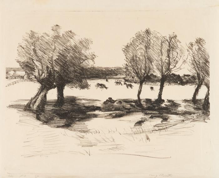 LANDSCHAFT MIT KÜHEN