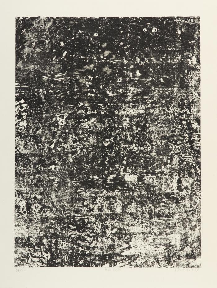 MUR ÉCAILLÉ