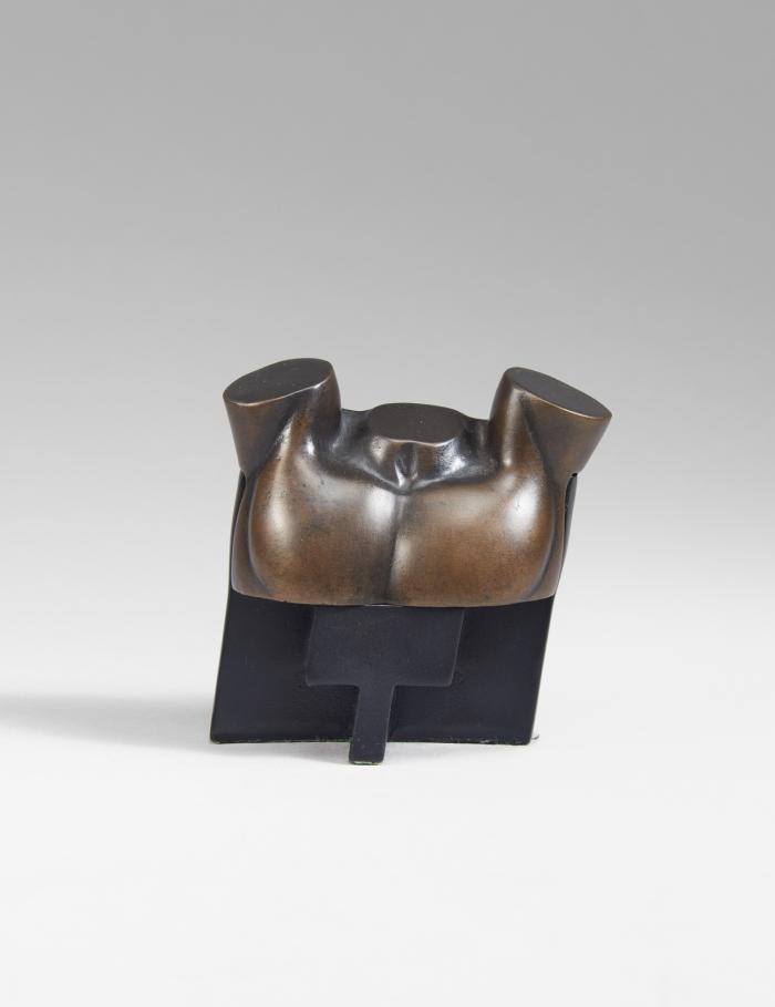 MÄNNLICHER TORSO