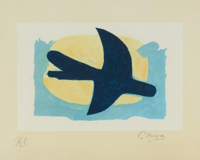 OISEAU BLEU ET JAUNE