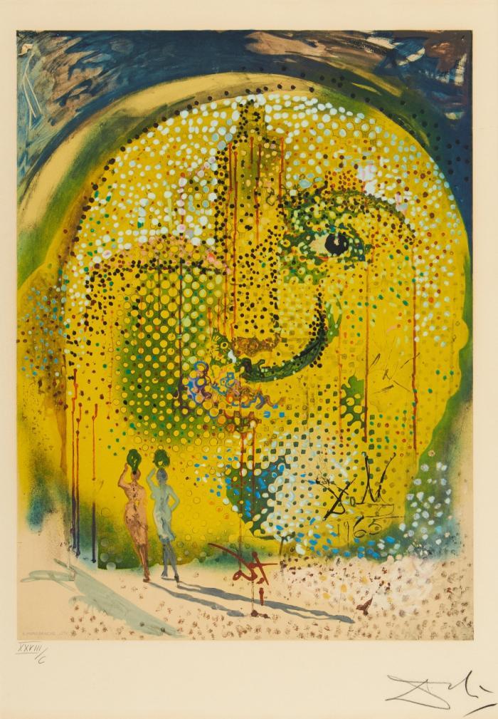 SOL Y DALI