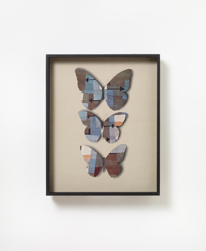 OHNE TITEL (SCHMETTERLINGE)