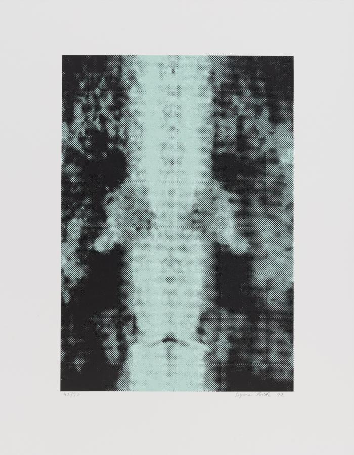 OHNE TITEL (SPIEGELUNG I)