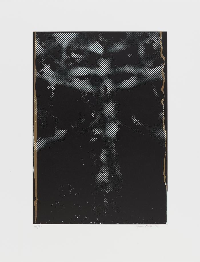 OHNE TITEL (SPIEGELUNG II)