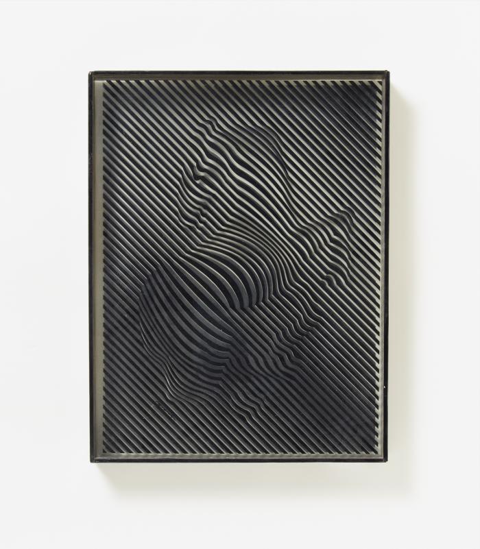 OHNE TITEL (ZEBRAS)