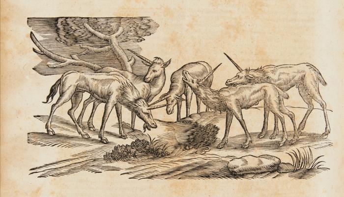 Hierozoicon sive Bipertitum opus de animalibus Sacrae Scripturae ... de animalibus in genere & de quadrupedibus, viviparis et oviparis ... de avibus, serpentibus, insectis, aquaticis, et fabulosis animalibus agit. 2 Tle. in 1 Bd.