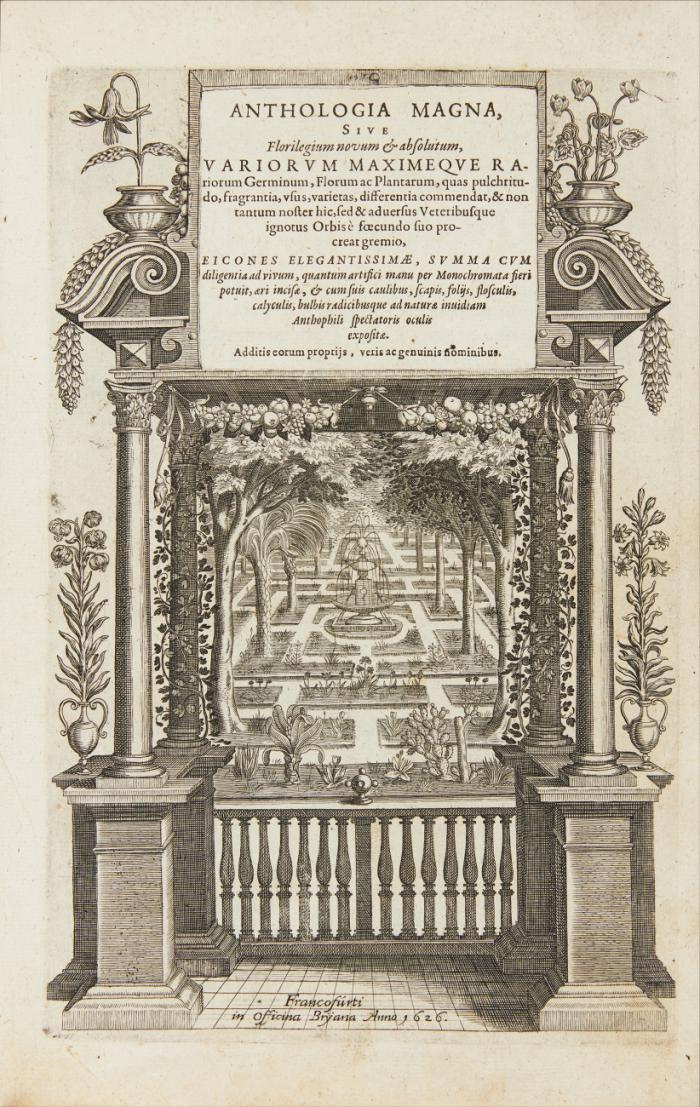 Anthologia magna sive Florilegium novum & absolutum, variorum maximeque rariorum germinum, florum ac plantarum, quas pulchritudo, fragrantia, usus, varietas, differentia commendat, & non tantum noster hic, sed & adversus veteribusque ignotus orbis e foecundo suo procreat gremio, eicones elegantissimæ ... spectatoris oculis expositæ.