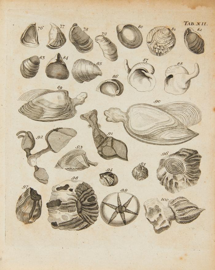 Tentamen methodi ostracologicae sive dispositio naturalis cochlidum et concharum in suas classes, genera et species, iconibus singulorum generum aeri incisis illustrata.