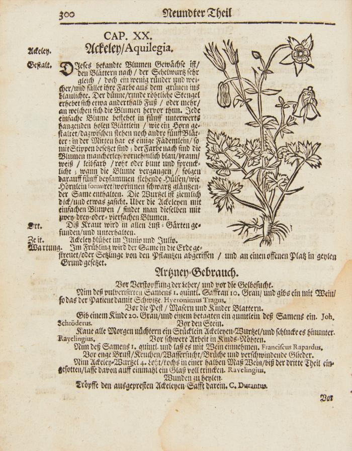 Neues Medicinalisches Kräuterbuch worinnen allerley Bäume, Stauden, Gesträuche, Kräuter... vorgestellet werden.