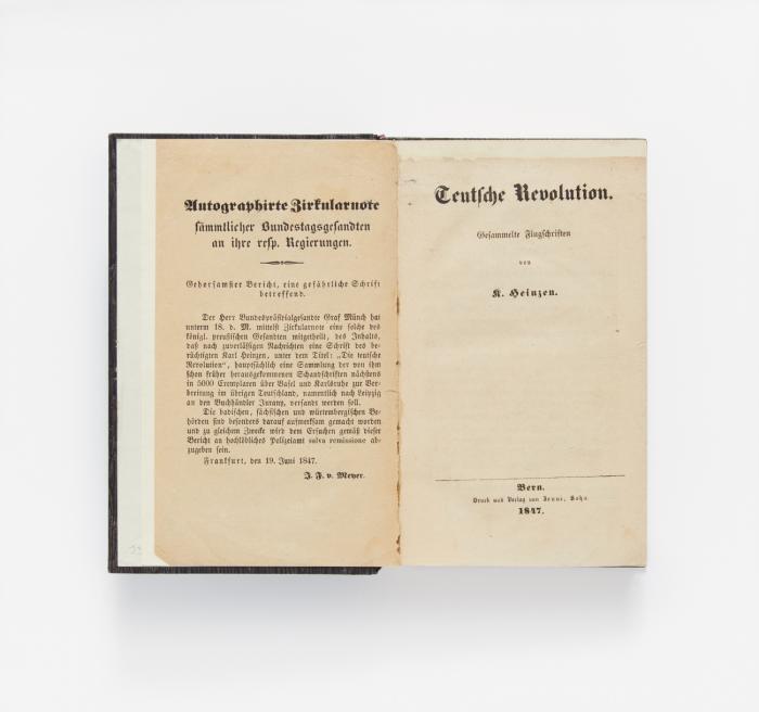 Teutsche Revolution. Gesammelte Flugschriften.